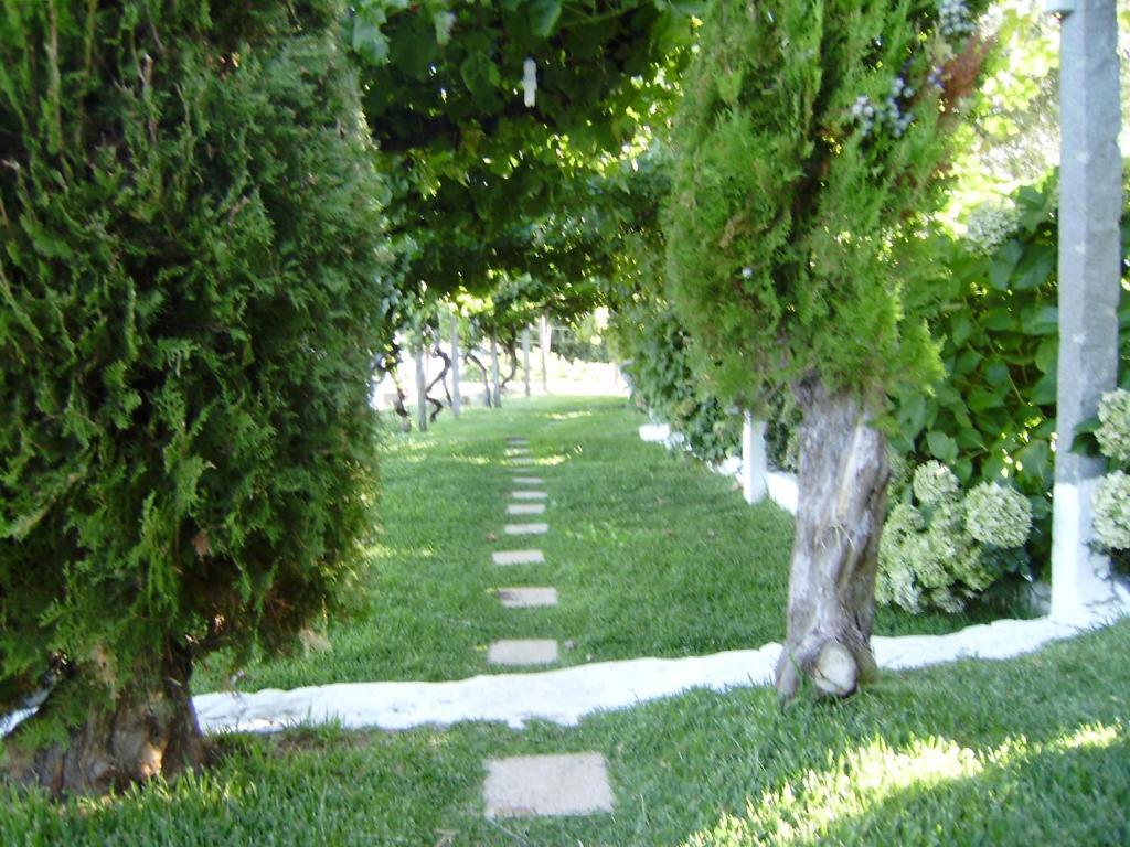 Turimenha Vendégház Marvão Kültér fotó