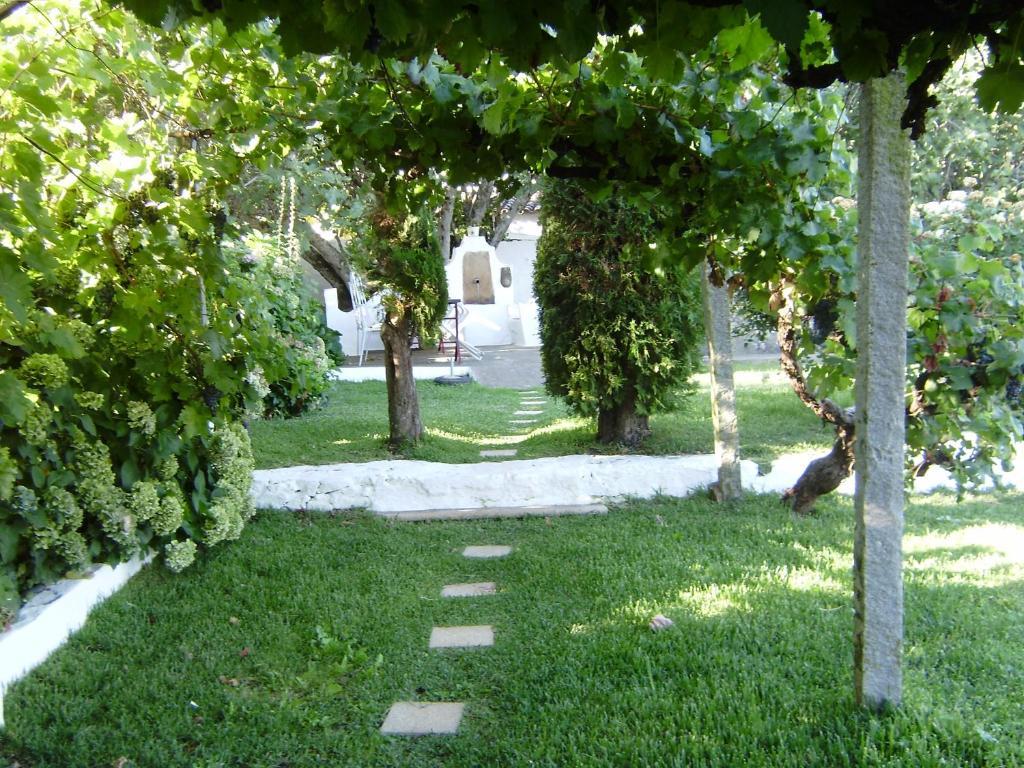 Turimenha Vendégház Marvão Kültér fotó
